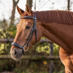 QHP LOW Luxury trense med hannoveransk næsebånd /Sort - Vist på hest