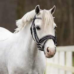 QHP Pony Trense BIXIE /Sort med pink - Vist på hvid pony
