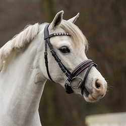 QHP Pony Trense BIXIE /Sort med pink - Modelfoto