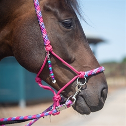 QHP Rebgrime Combi Liberty med tøjler og cordeo - modelfoto