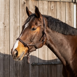 QHP Rebgrime i læder LIBERTA /Brun - Modelfoto på hest