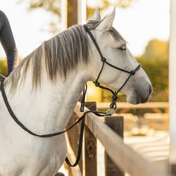 QHP Rebgrime i læder LIBERTA /Sort - Modelfoto vist på hest