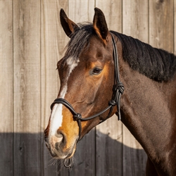 QHP Rebgrime i læder LIBERTA /Brun - Vist på hest