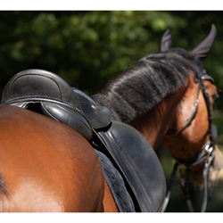QHP Saddle Jewel - Pynt til sadel FADING /Sort - Modelfoto