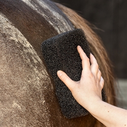 QHP Equi Super Shiner Svamp - Vist brugt tør på hest
