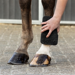 QHP Equi Super Shiner Svamp - Vist brugt tør på hesteben