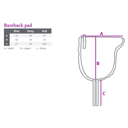 QHP Bareback pad - Ridepad - Størrelsesguide