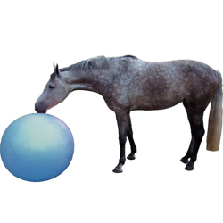 QHP Fodbold til hest - Blå 80 cm. i diameter