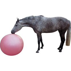 QHP Fodbold til hest - Pink, 100 cm. i diameter