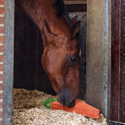 QHP Legetøj Til Hest / Carrot-Gulerod /XL - Modelfoto Hest i boks