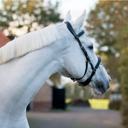 QHP Læder Kapsun med ergonomisk nakkestykke