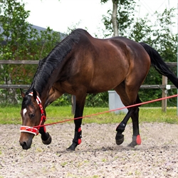 QHP kapsun - Nylon med syntet lam - Rød - Hest i longe