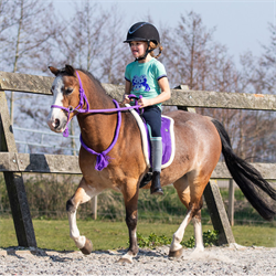 QHP Rebgrime med tøjler - Lilla - Pony med rytter