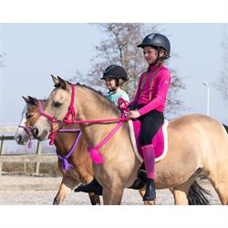 QHP Rebgrime med tøjler - Pink - Ponyryttere