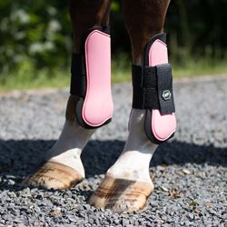 QHP Springgamacher, Forben - Str. Pony eller Shet - Flamingo pink på hest