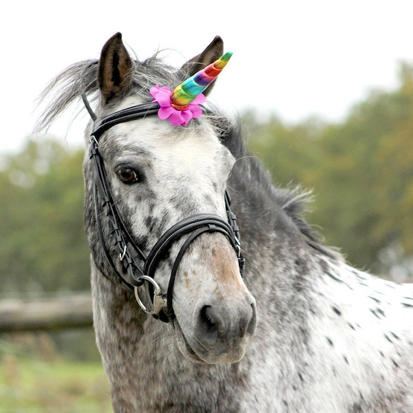 QHP Unicorn Horn til hest - Mordelfoto på hest