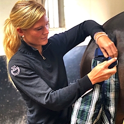 Siccaro Wrapido Tørrende Halepose til hest / Tartan - vist mens påsat på hest