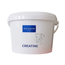 Solanum Creatine - Byggesten til muskler