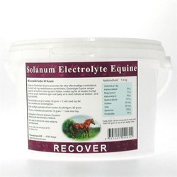 Solanum Recover - Elektrolytter til heste