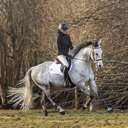 Stierna Storm Rain Jacket /Sort - Modelfoto