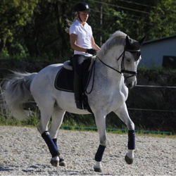 Stierna Halo POLO - Hvid - Hest og rytter