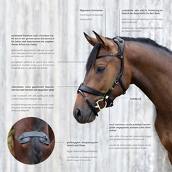 Stübben Trense Freedom II /Sort - Close up af nakkestykke