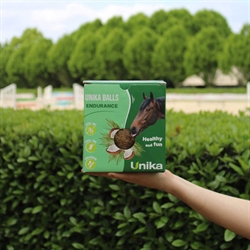 UNIKA Endurance - Sliksten til hest - Miljø foto
