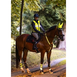 Woof Wear Hi Vis Refleksvest med LED lys /Gul - Modelfoto