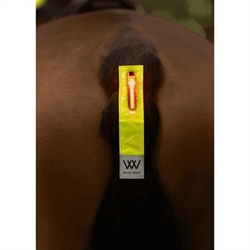 Woof Wear HI Vis Hale Refleks med LED Lys /Gul