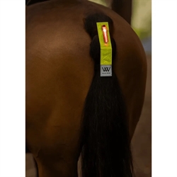 Woof Wear HI Vis Hale Refleks med LED Lys /Gul  - Vist på hest