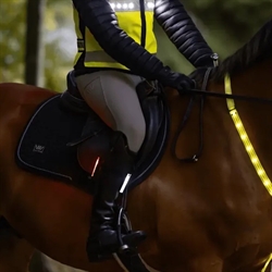 Woof Wear HI Vis Ridelygte - 3i1 Rider safety - Vist monteret på rytterens underben med hvidt lys frem og rødt lys bagud