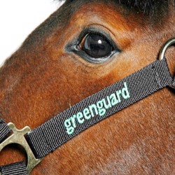 Greenguard grime til Greenguard mundkurv