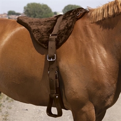 Norton CONFORT Bareback pad /Brun med western bøjler - - Vist på hest