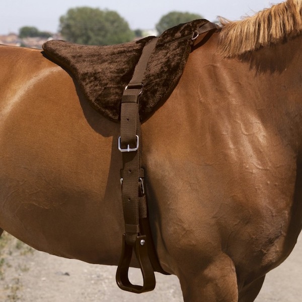 Norton CONFORT Bareback pad /Brun med western bøjler - - Vist på hest